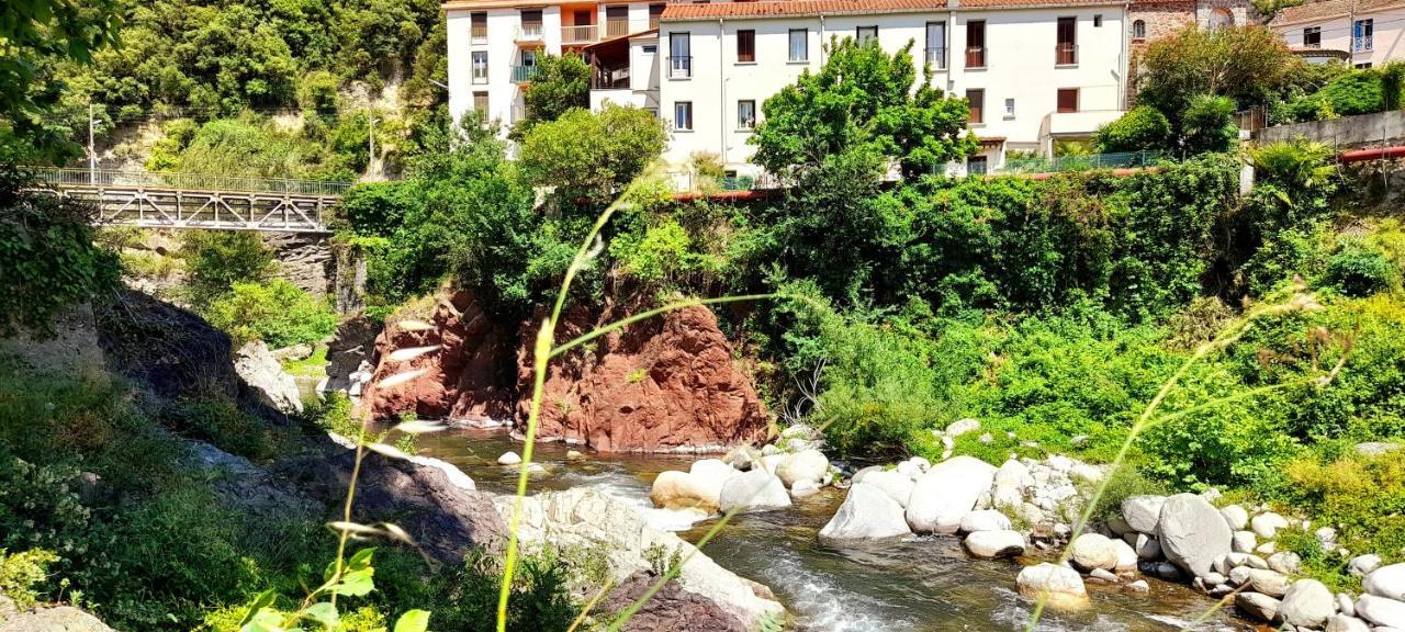 T2 Tout Confort Amélie-les-Bains-Palalda Zewnętrze zdjęcie